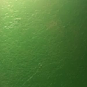 Meet your Posher, Iismael